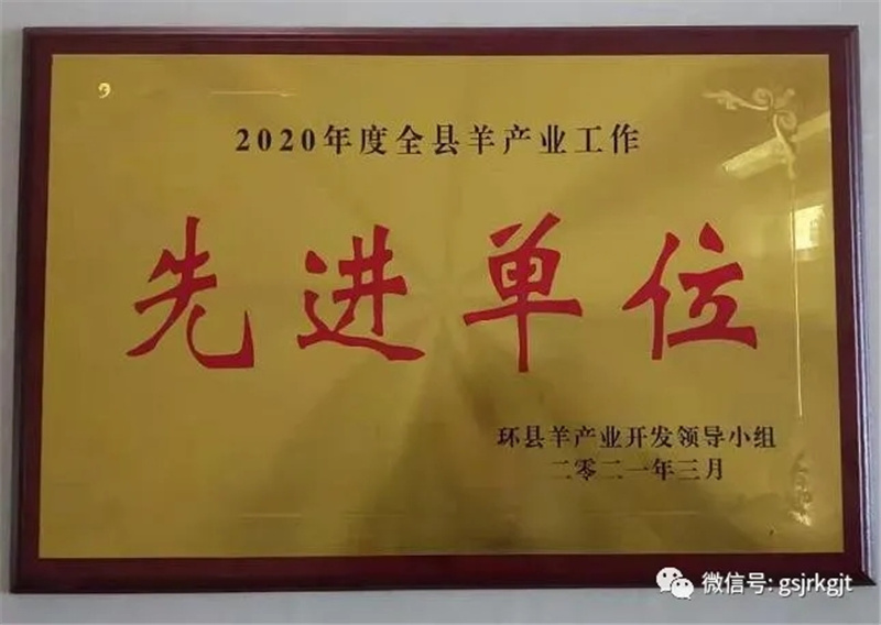 甘肅金控慶陽(yáng)擔(dān)保公司獲2020年度環(huán)縣全縣羊產(chǎn)業(yè)工作先進(jìn)單位稱號(hào)